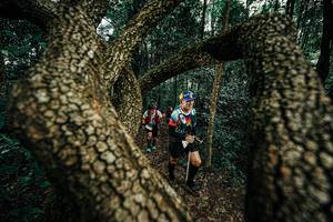 BIB: 
                            <button type="button" onclick="openModal(25393655)" class="btn btn-primary btn-sm float-right btn-popup" data-toggle="modal" data-target=".modal-high-quality">
                        <i class="fas fa-shopping-cart"></i> Add to Cart
                    </button>
                                            <button type="button" onclick="isThisMe(25393655, true)" class="btn btn-success btn-sm float-right btn-popup btn-isme hidden" data-toggle="tooltip" data-placement="bottom" title="นี่คือรูปของคุณใช่ไหม คลิกที่นี่เพื่อเอาเข้าอัลบั้ม">
                        <i class="fas fa-plus"></i> Add to album
                    </button>
                    <button type="button" onclick="isThisMe(25393655, false)" class="btn btn-warning btn-sm float-right btn-popup btn-isnotme hidden">
                        <i class="fas fa-ban"></i> Remove from album
                    </button>